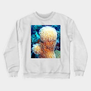 Corky Sea Finger feeding on the Caribbean currents Crewneck Sweatshirt